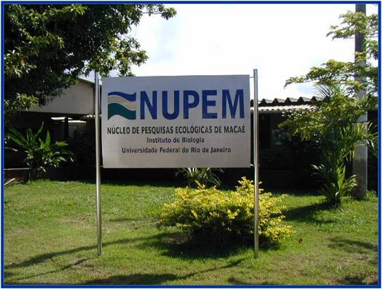 NUPEM/UFRJ forma biólogos e licenciados preparados para os desafios do  futuro – Instituto de Biodiversidade e Sustentabilidade NUPEM/UFRJ