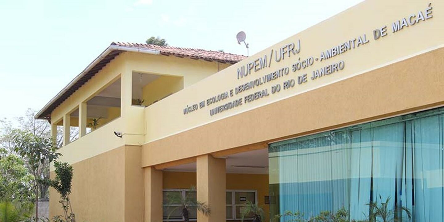 NUPEM/UFRJ forma biólogos e licenciados preparados para os desafios do  futuro – Instituto de Biodiversidade e Sustentabilidade NUPEM/UFRJ