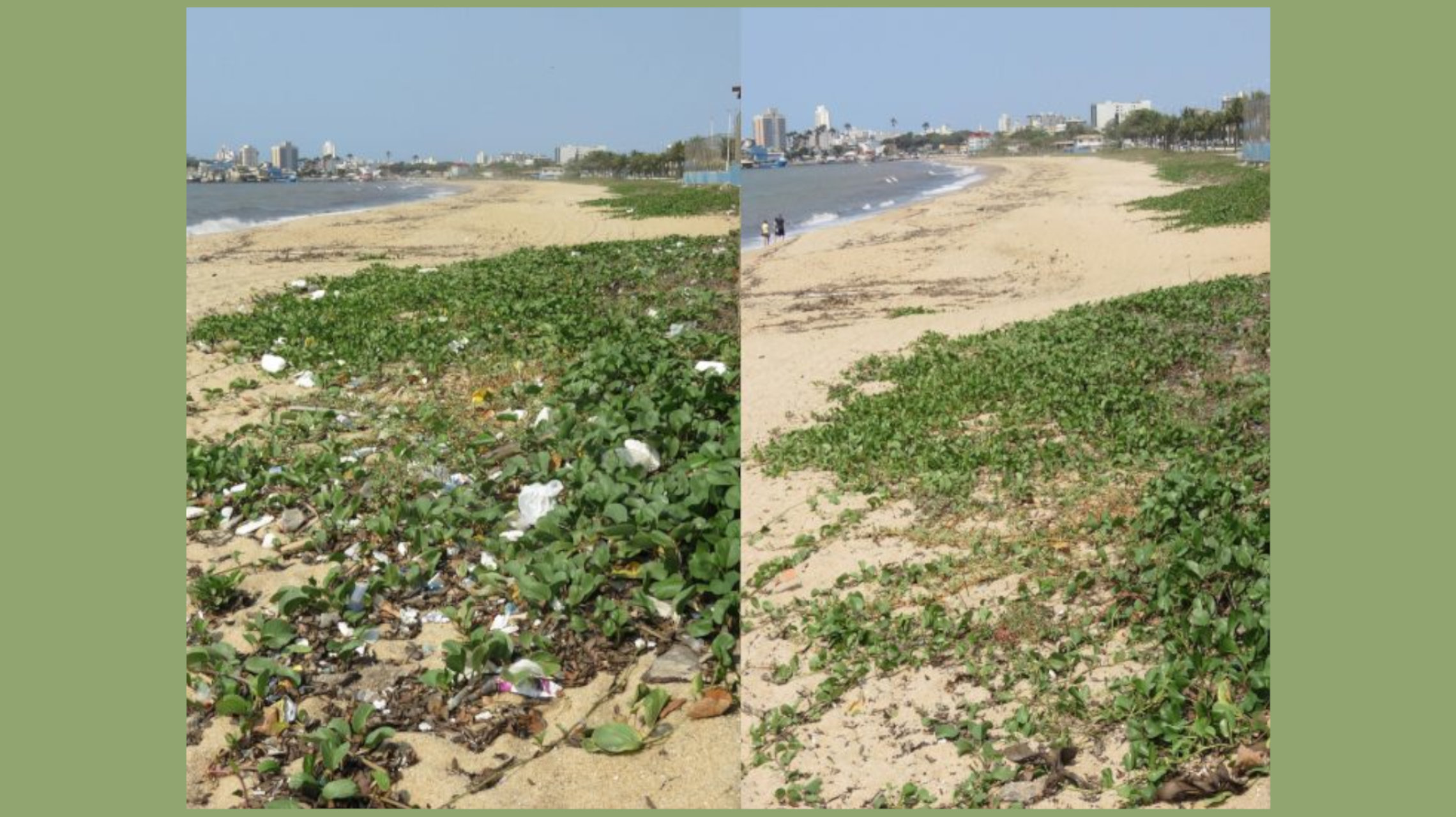 Você está visualizando atualmente NUPEM presente em mais um Dia Mundial de Limpeza de Praias
