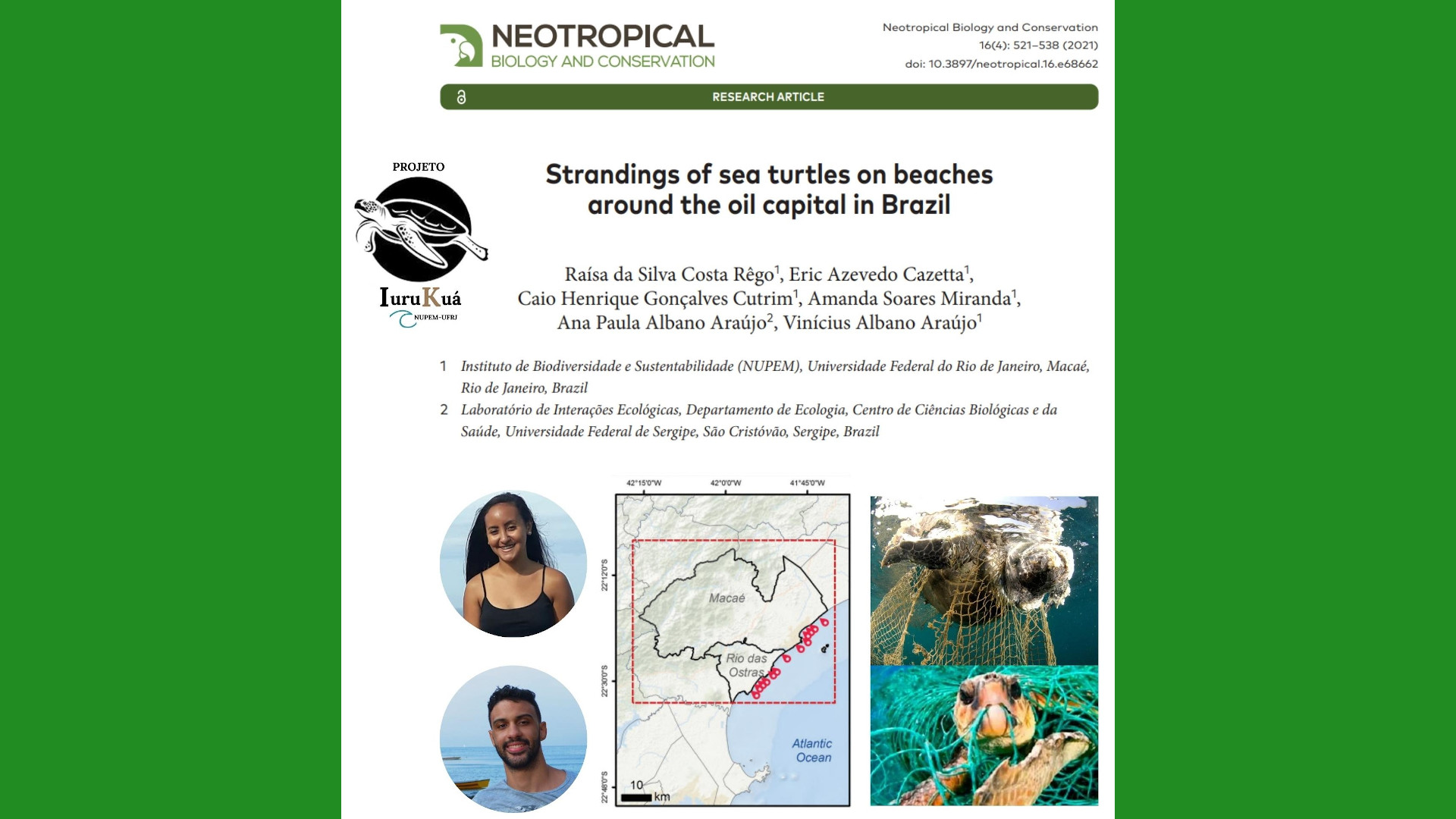 Você está visualizando atualmente Alunos do NUPEM/UFRJ publicam artigo que alerta sobre o alto número de encalhes de tartarugas marinhas em praias de Macaé e Rio das Ostras