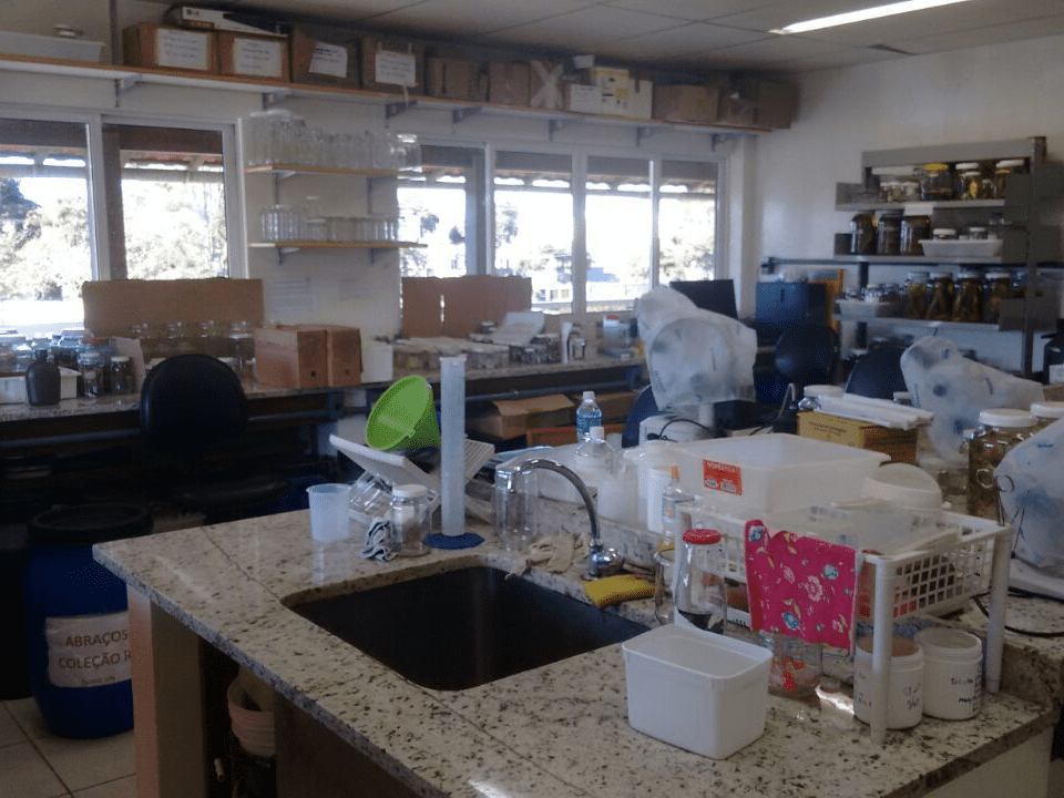 Laboratório (6)