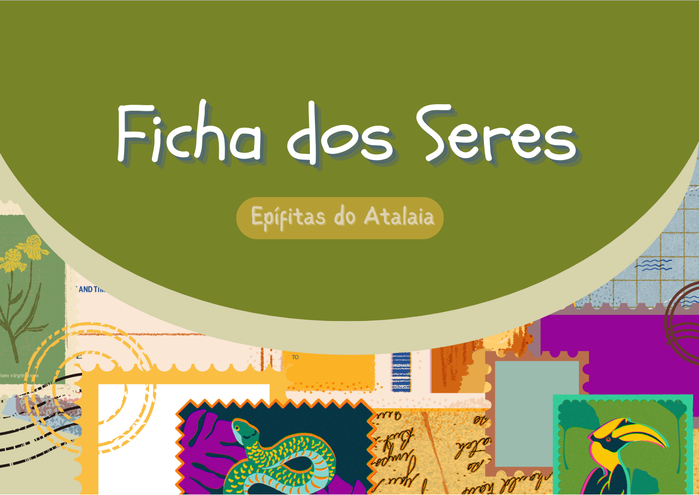 Ficha-dos-seres-epifitas